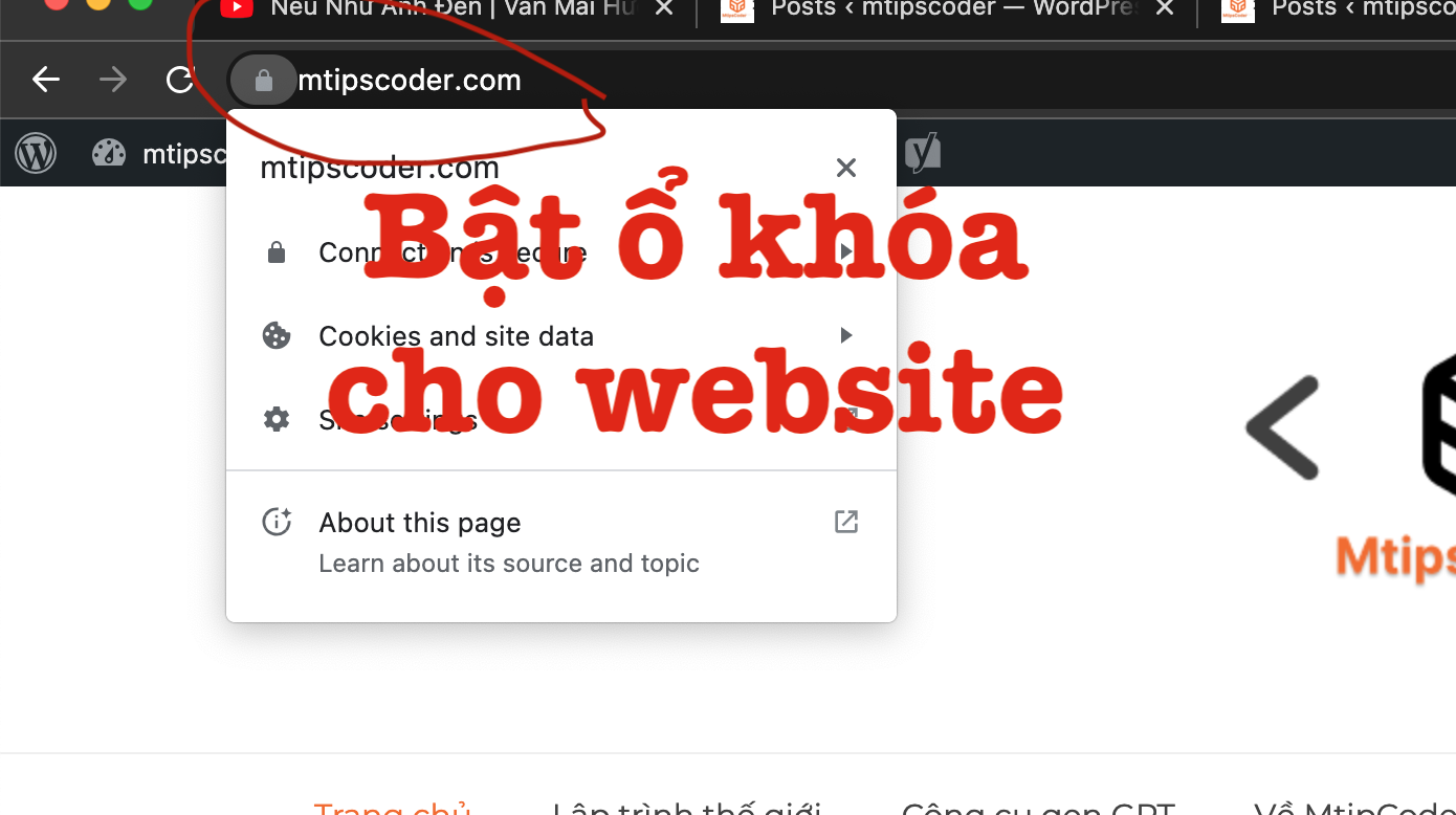 Khi bạn thấy ổ khóa được hiển thị trên website là nó đã cài đặt thành công ssl rồi á